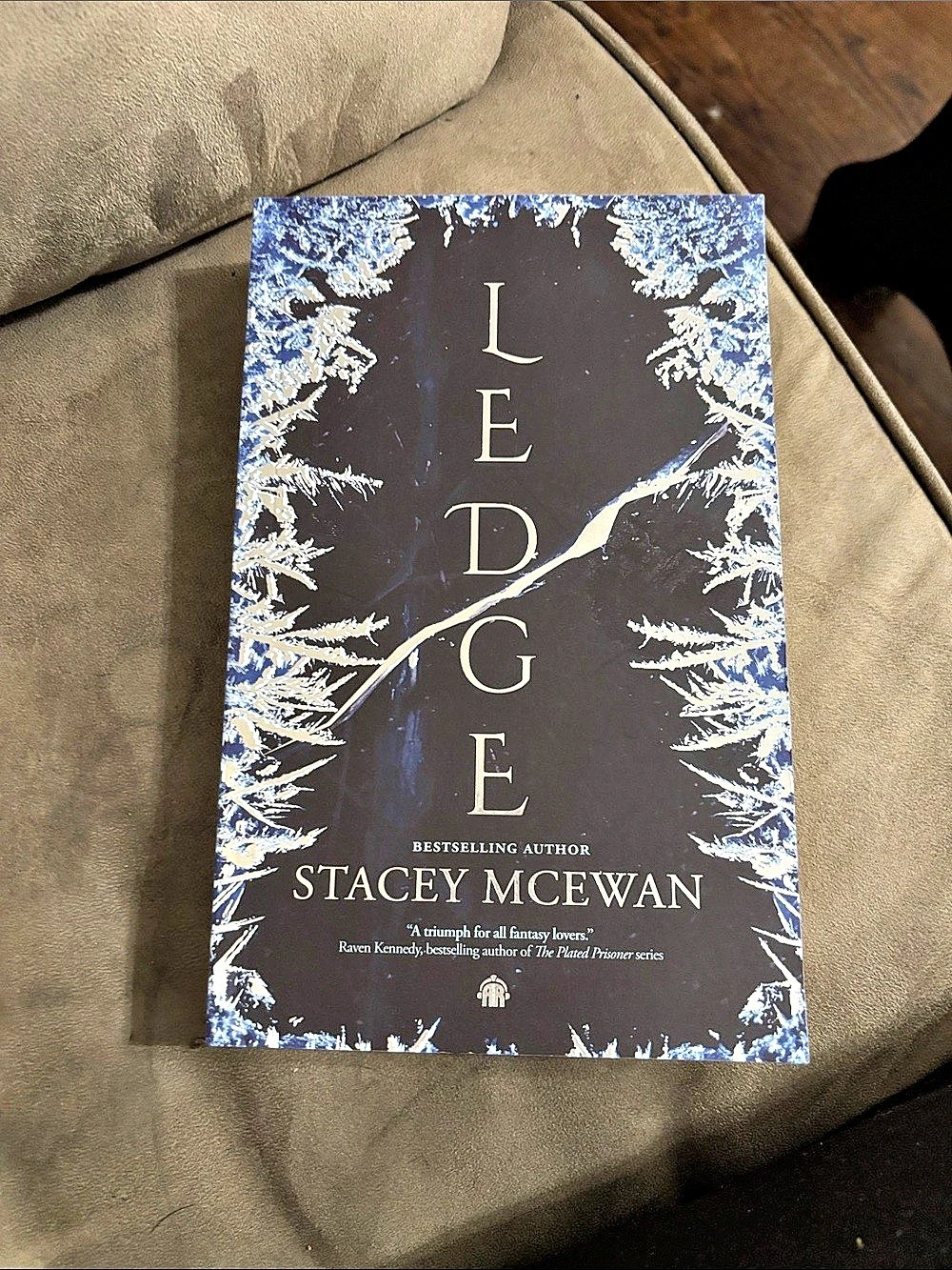 Stacey McEwan Ledge Fantasy Novel Black Blue